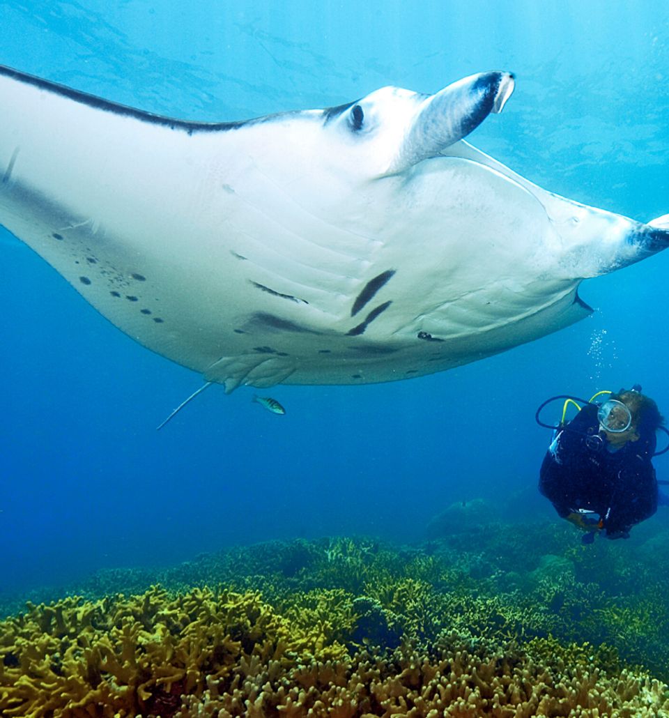 Snorkelling & Scuba Diving - Experiences at Taj Exotica Resort & Spa, Andamans