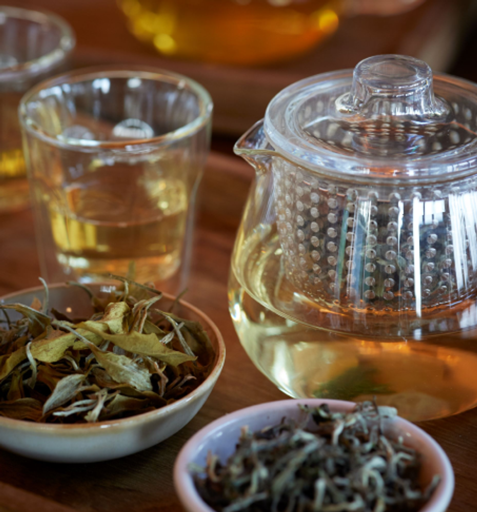 Makaibari Tea Factory Visit - Must-Have Darjeeling Experiences