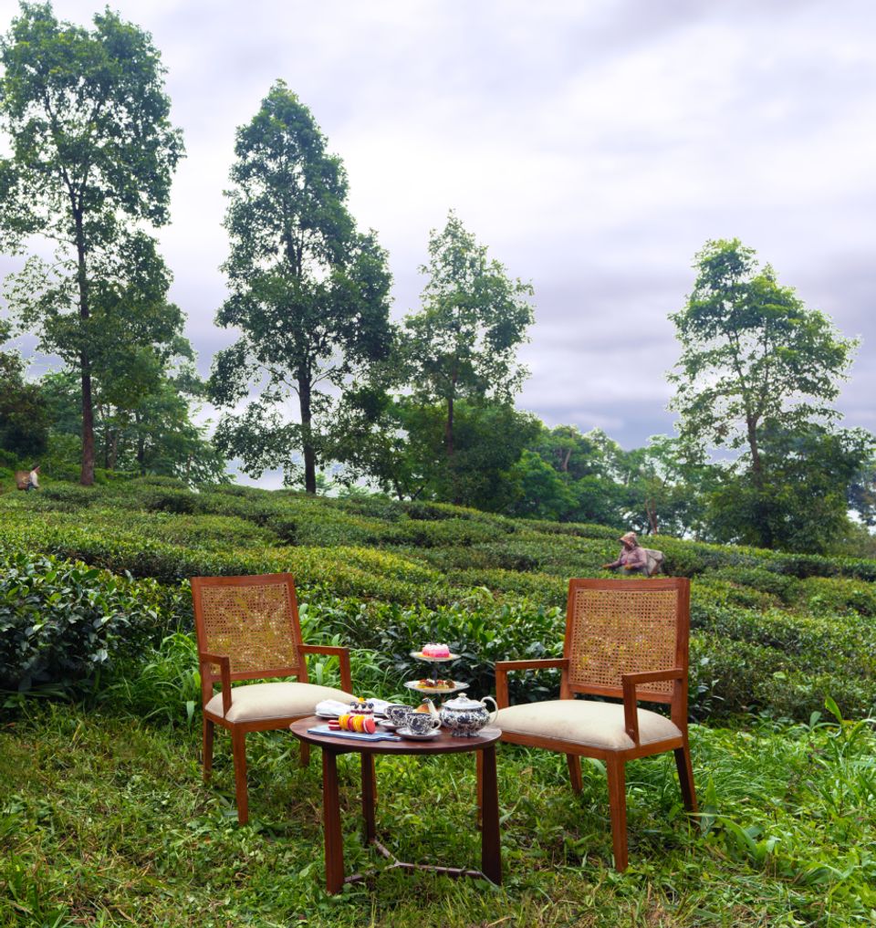 Mystical and Magical Makaibari Tea Estate - Attractions & Places to Visit in Darjeeling