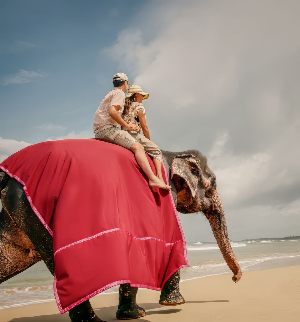 Pinnawela Elephant Experience - Must-Have Experiences in Sri Lanka