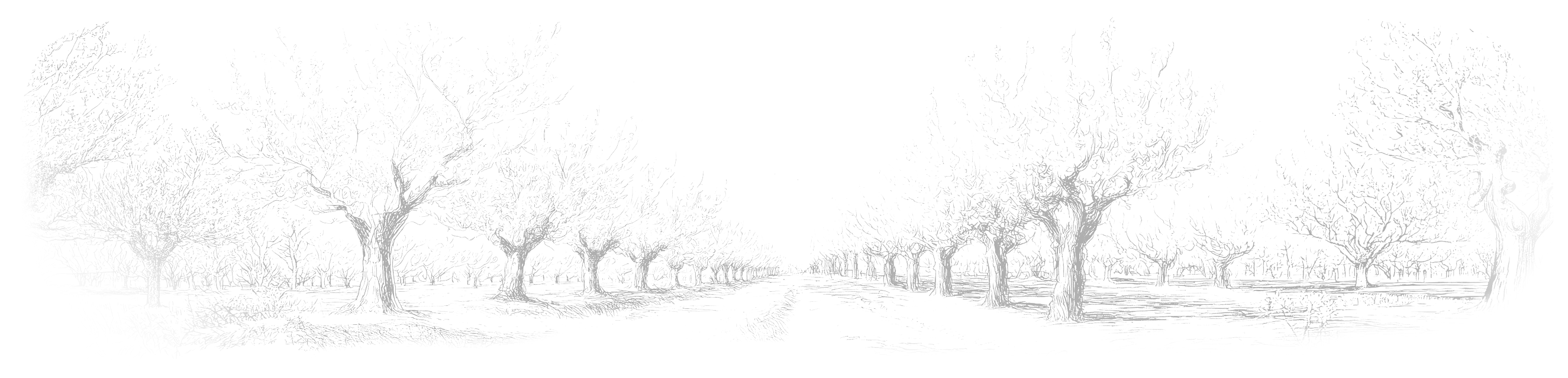 Destilerija Cherry Hill u Višnjici