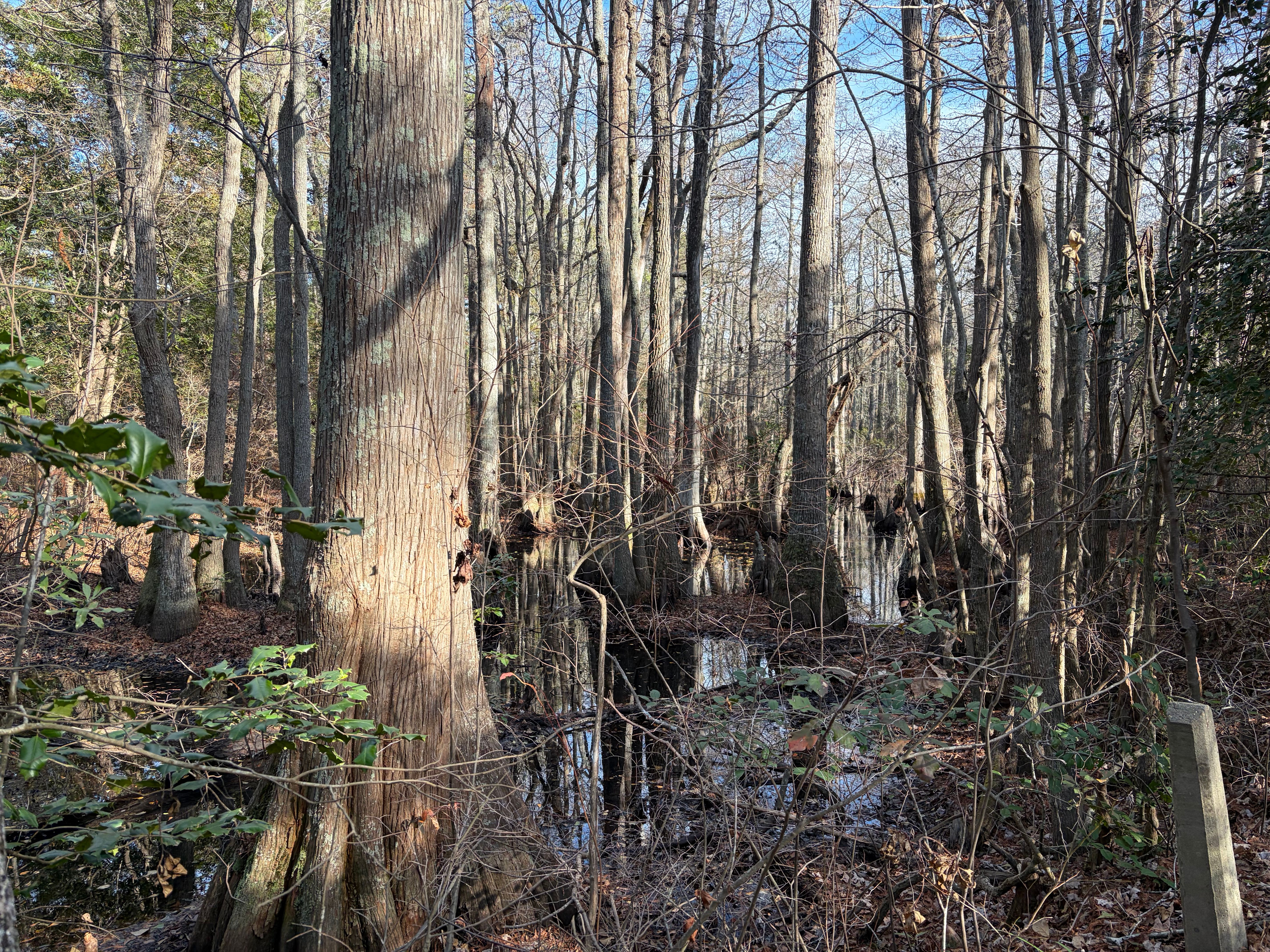 The Most Busiest Time of the Year