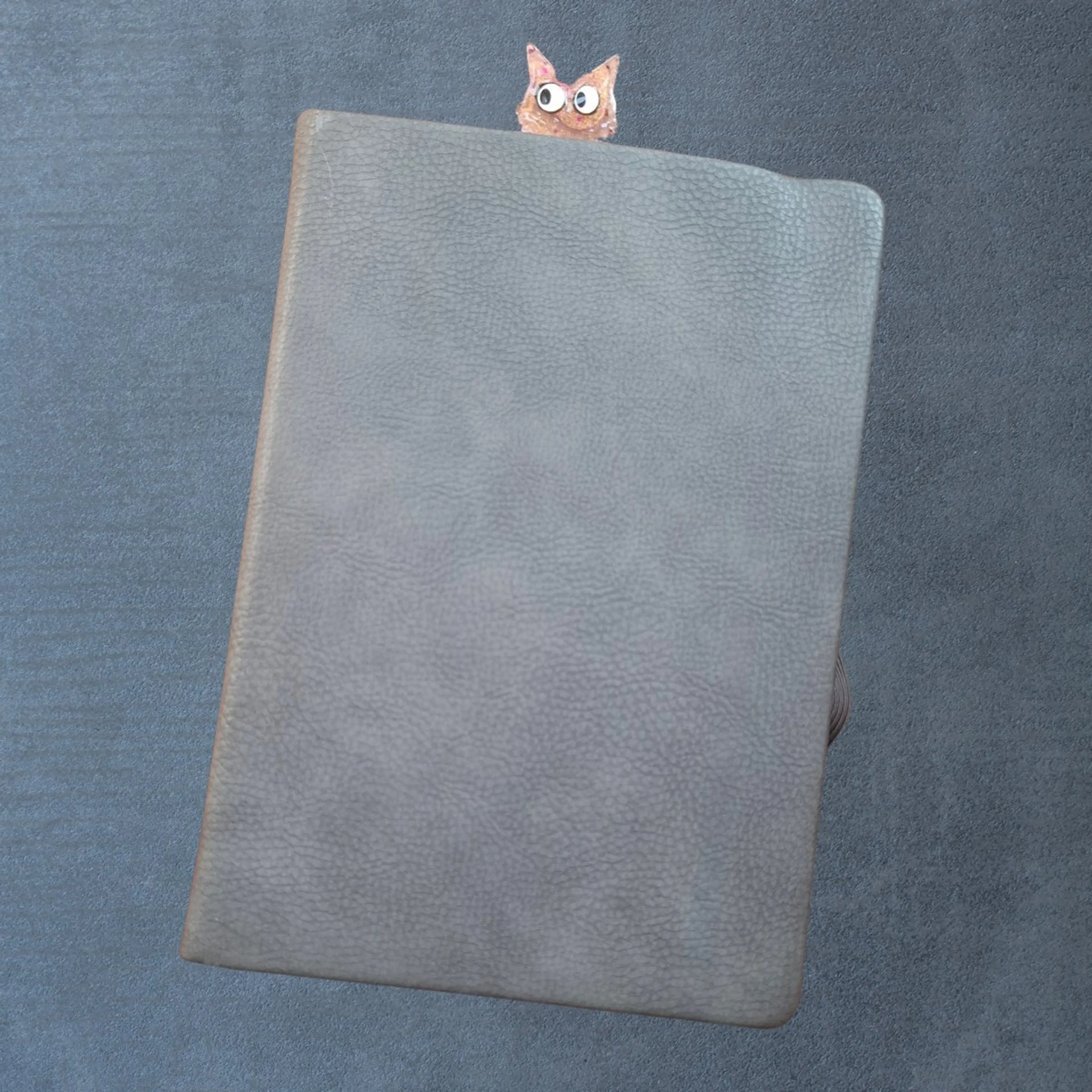 Not Meow - view 2