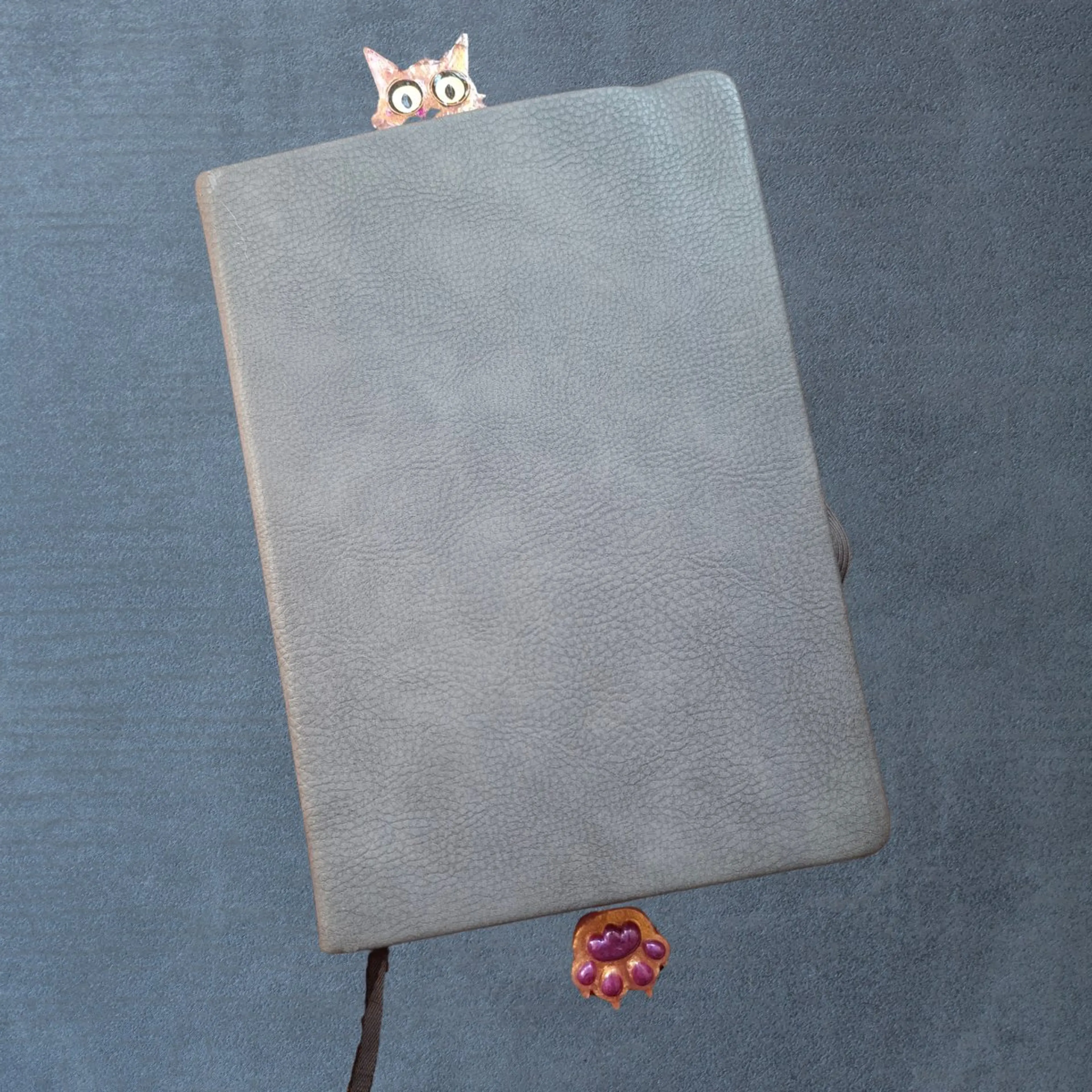 Resting Cat Face thumbnail 2