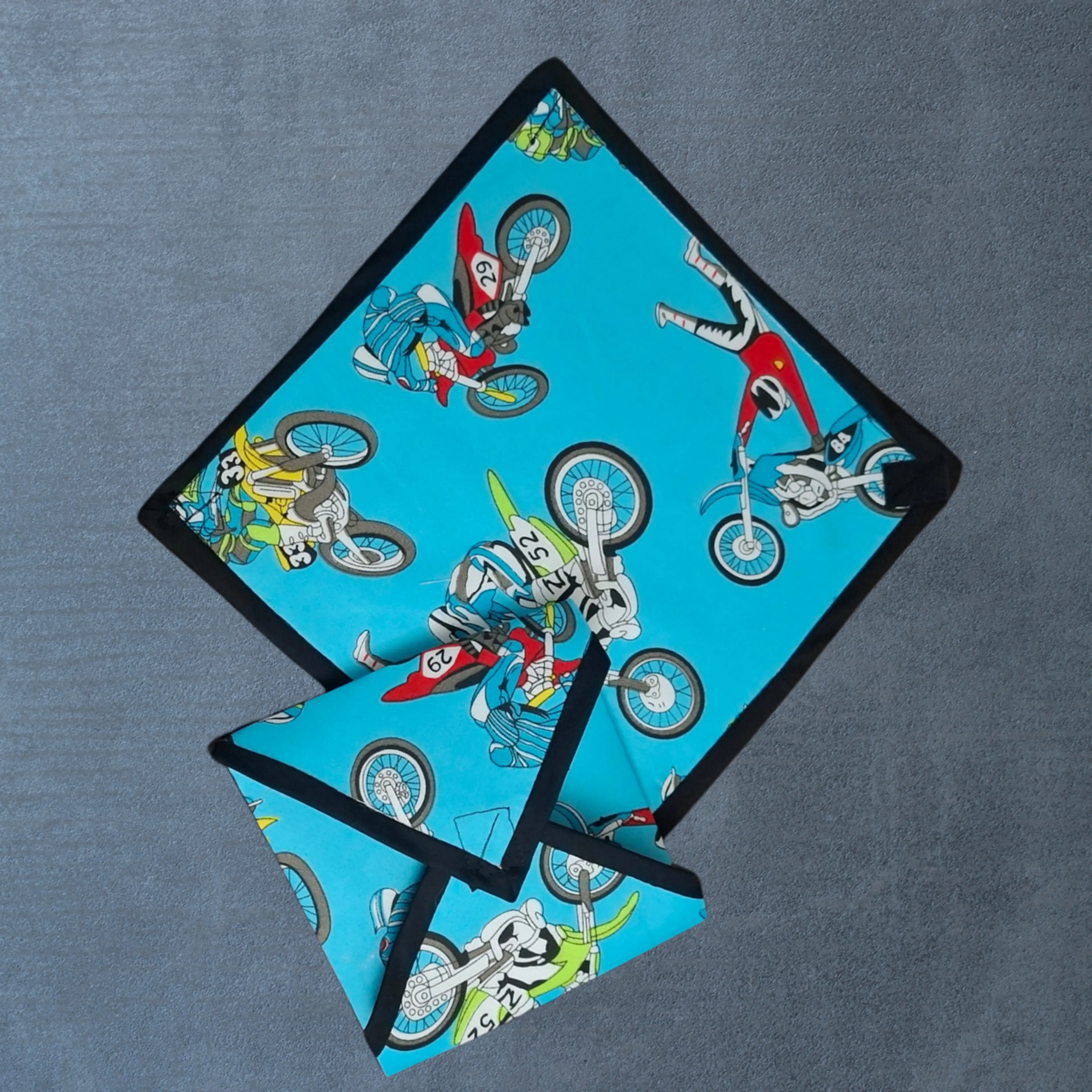 Biker Blue Sandwich Bag