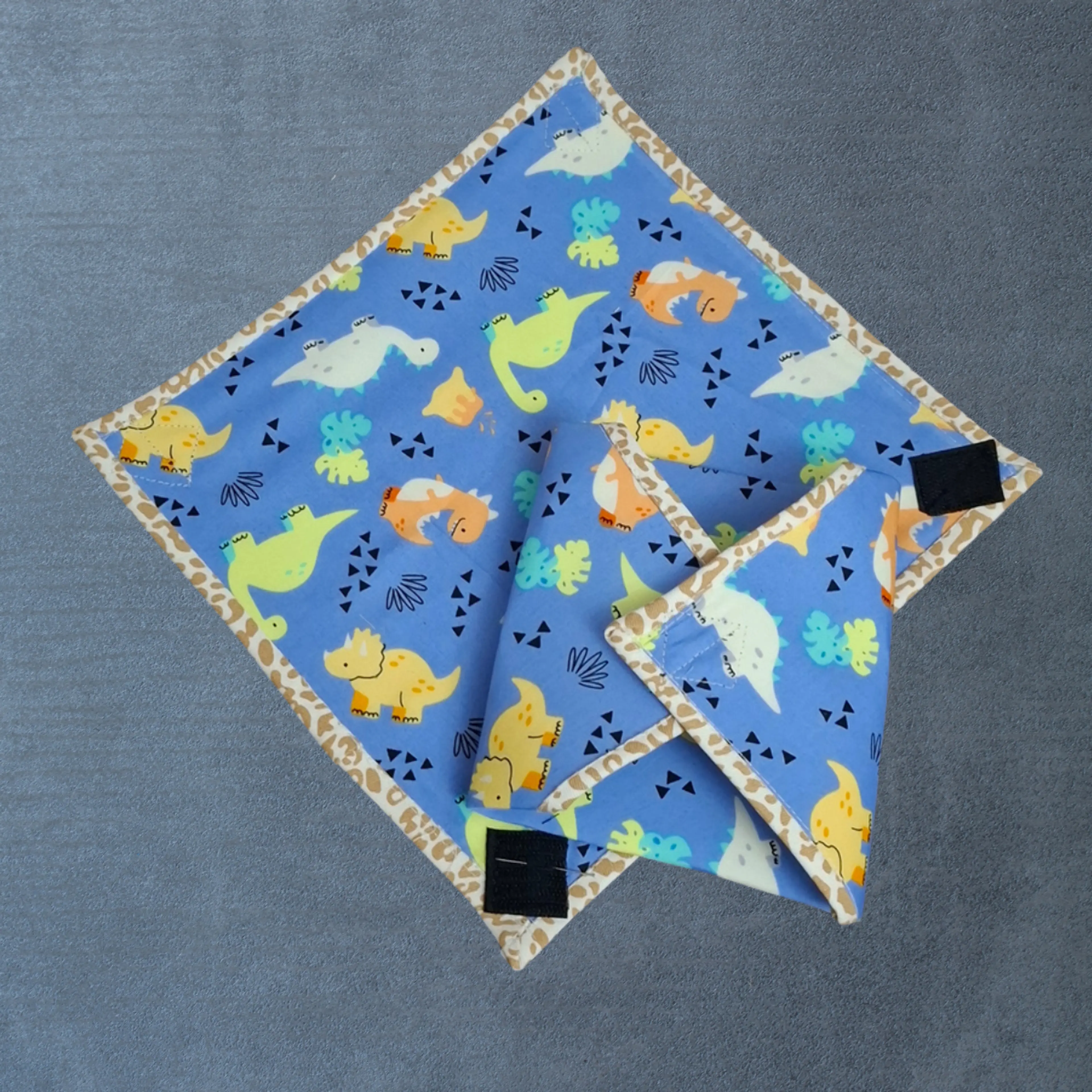 Dinosaurs Sandwich Bag