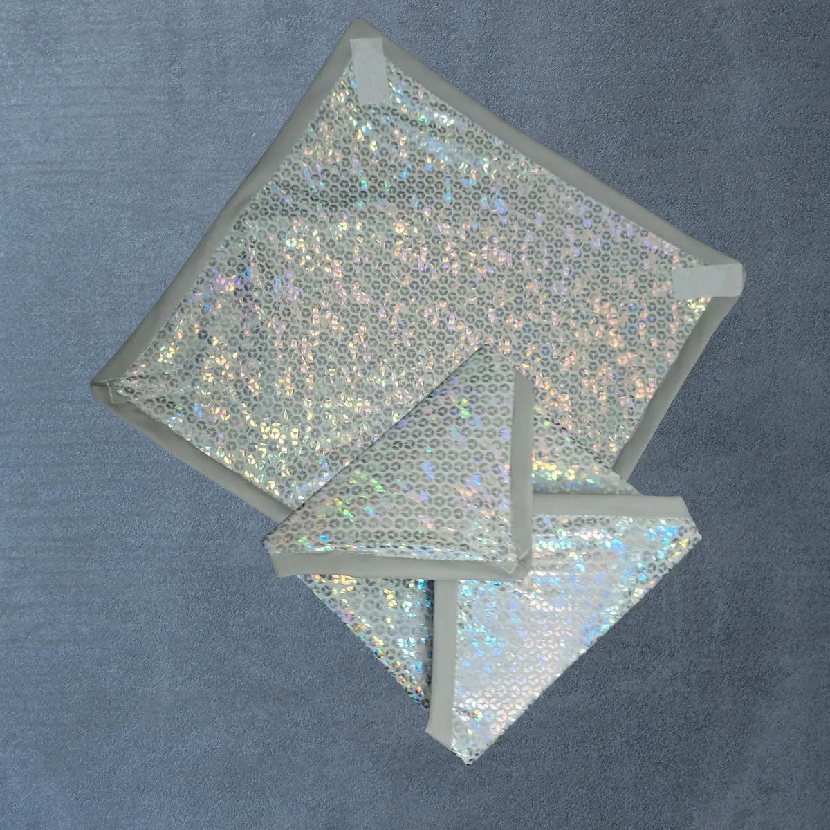 Shiny Sandwich Bag