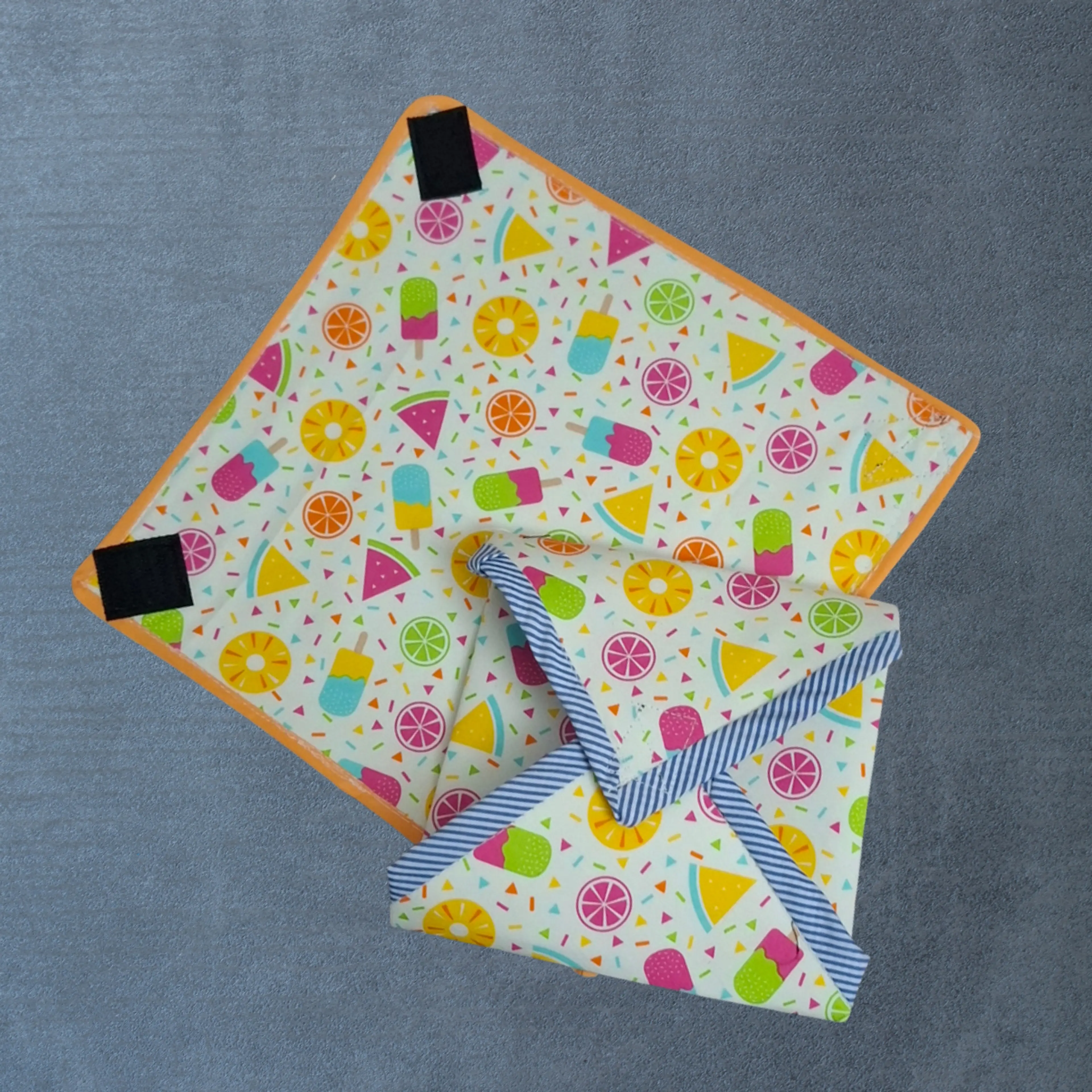 Summer Fruit Sandwich bag