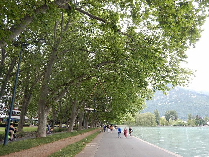 Unosząca się w powietrzu rzeźba lustrzana w alei drzew nad brzegiem jeziora w pobliżu Annecy