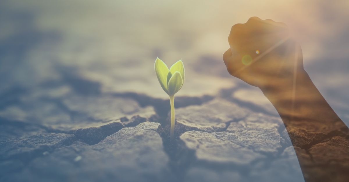 resilience-1