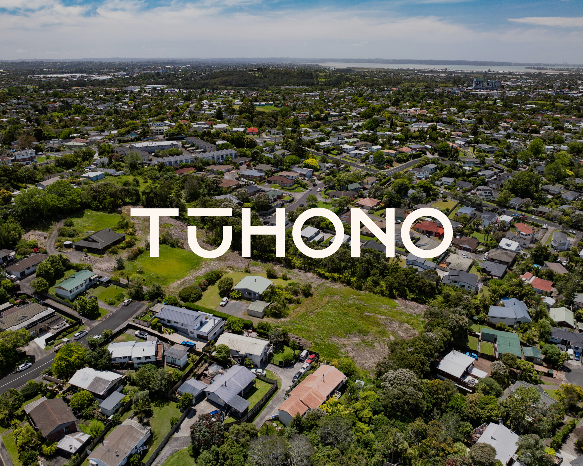 tuhono 02.png