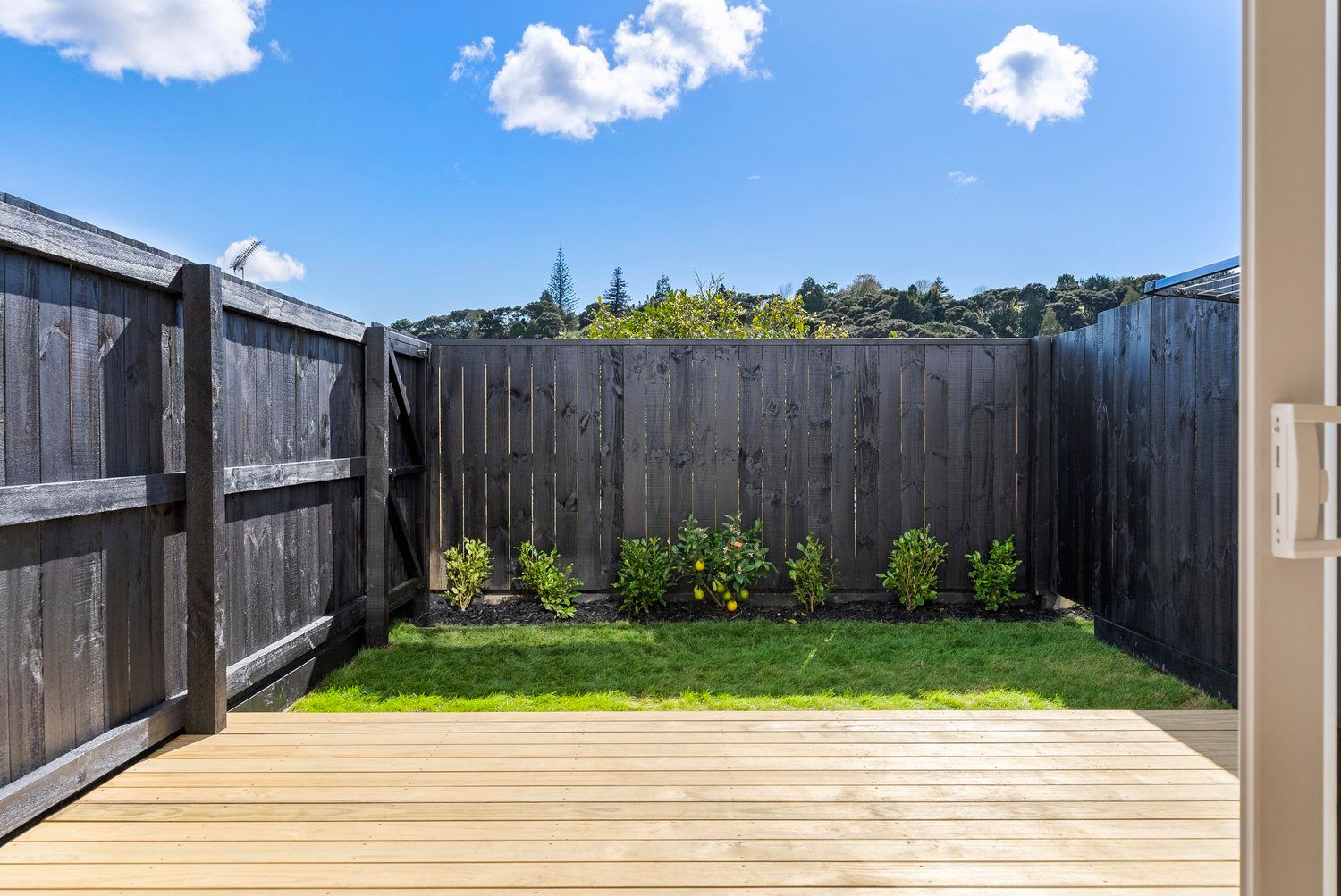 89-sailsbury-gallery-26.jpg