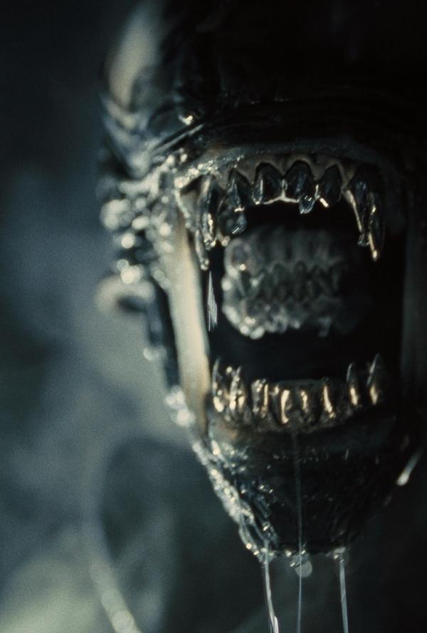Bilde fra 'Alien: Romulus'