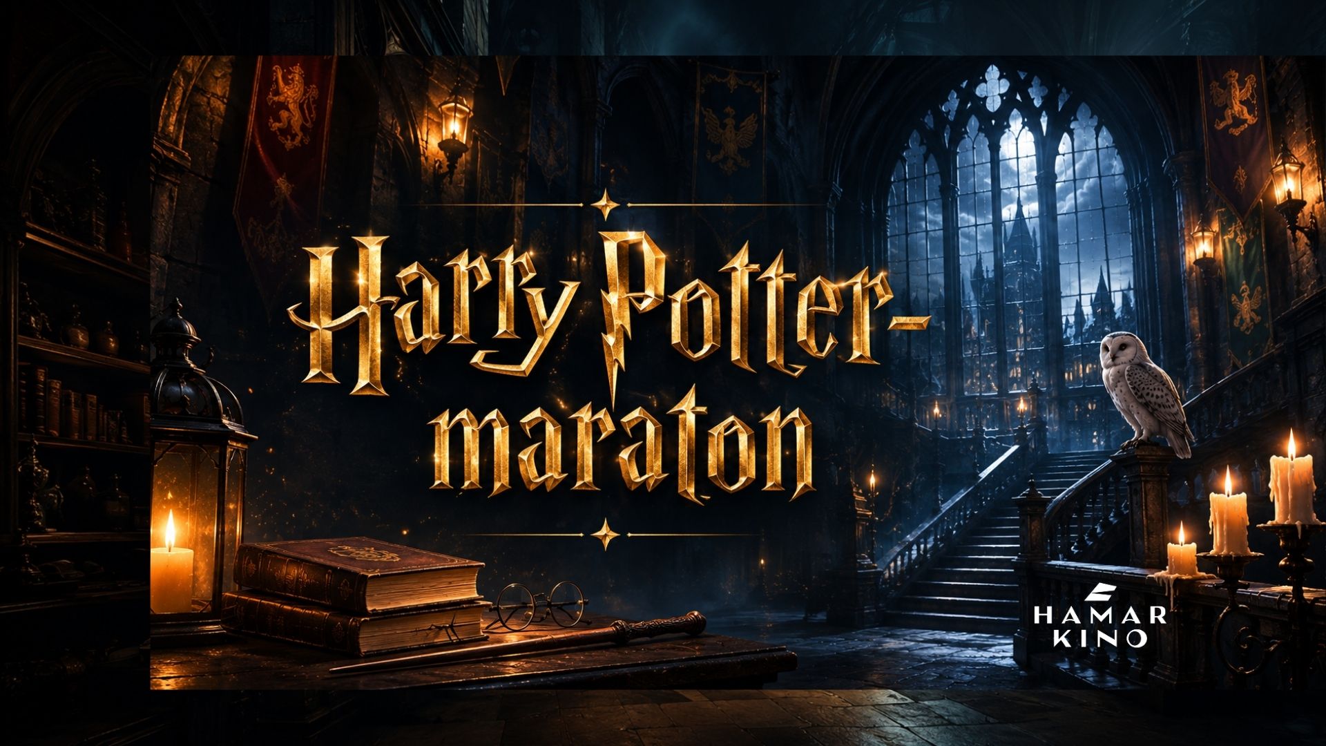 Harry Potter maraton