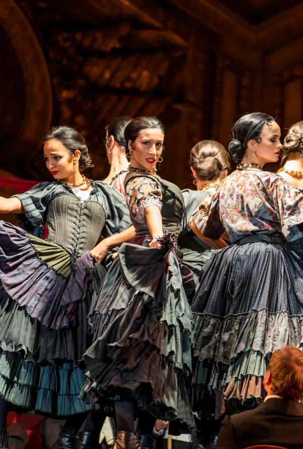 Bilde fra 'RBO: LA TRAVIATA (2026)'