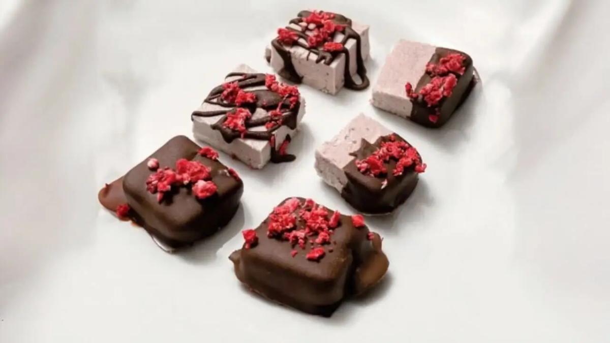 Chocolate Covered Strawberry Cheesecake Bites