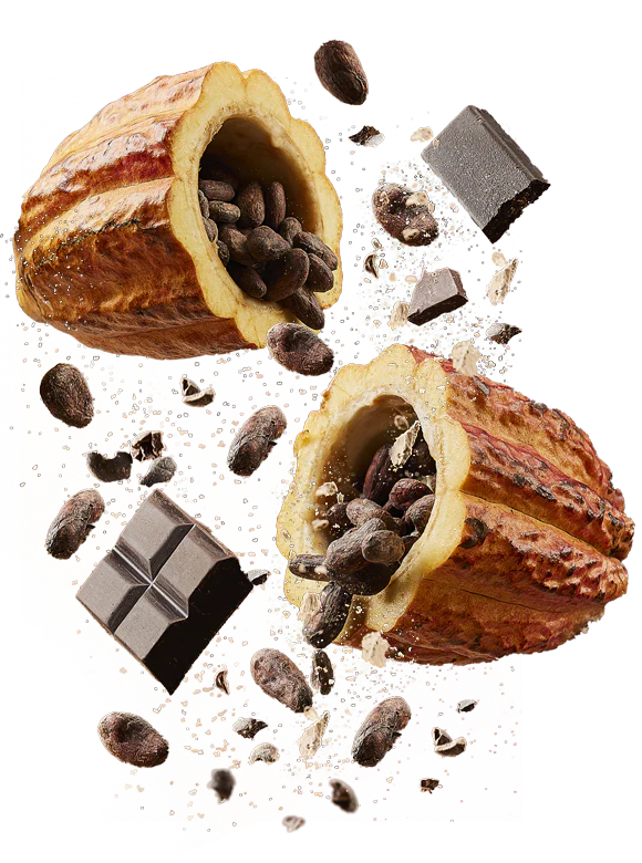 Ka'Chava Peanut Butter Bars. Portable Macros!