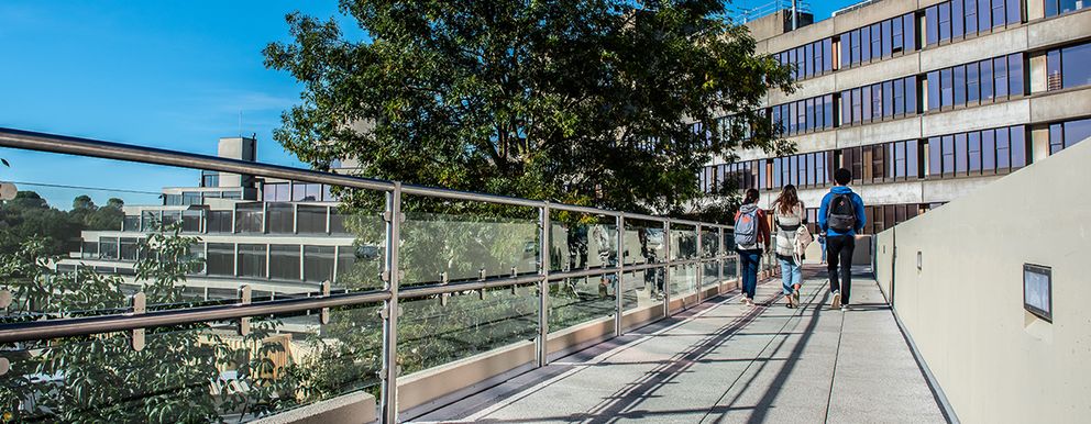 Students walking on UEA walkway