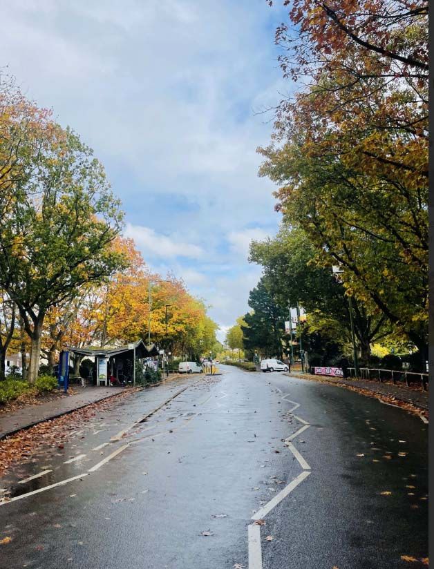 Image of a road on the campus of UEA