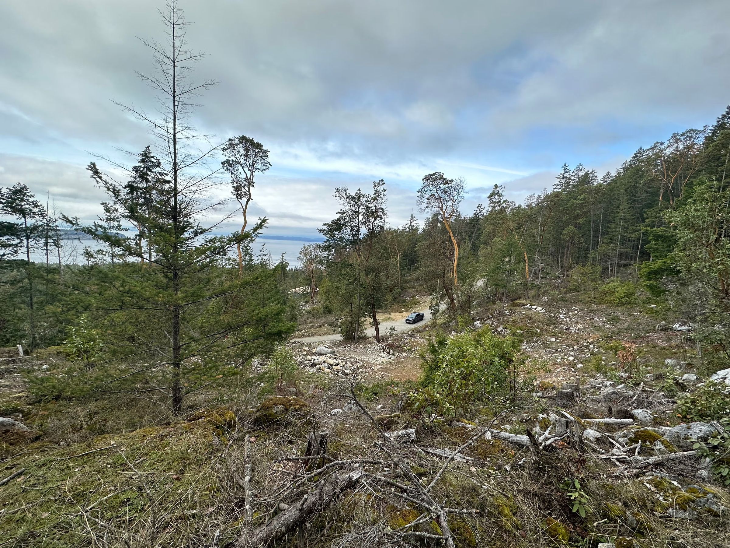 A cleared coastal site with a gravel access road, looking out over the water