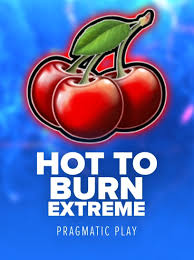 hot-to-burn-extreme-logo