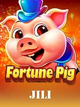 Fortune Pig