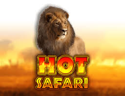 hot-safari-logo