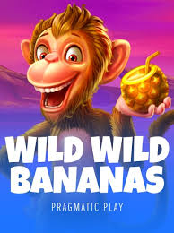 wild-wild-bananas-logo