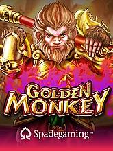 golden-monkey