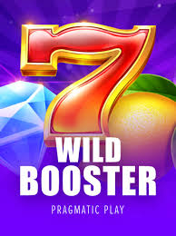 wild-booster-logo