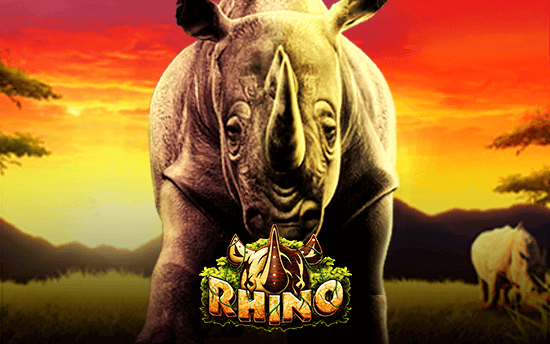 Rhino gmw