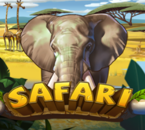 Safari