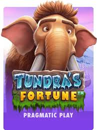 Tundra's Fortune