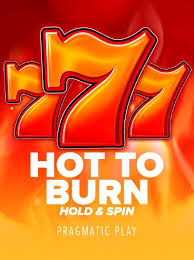 hot-to-burn-hold-and-spin-logo