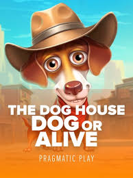 The Dog House - Dog or Alive