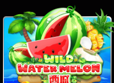 Wild Watermelon Joker