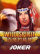 wild-spirit-logo
