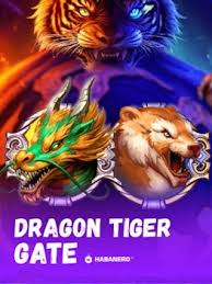 dragon-tiger-gate-logo