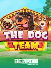 BESOFT The Dog Team