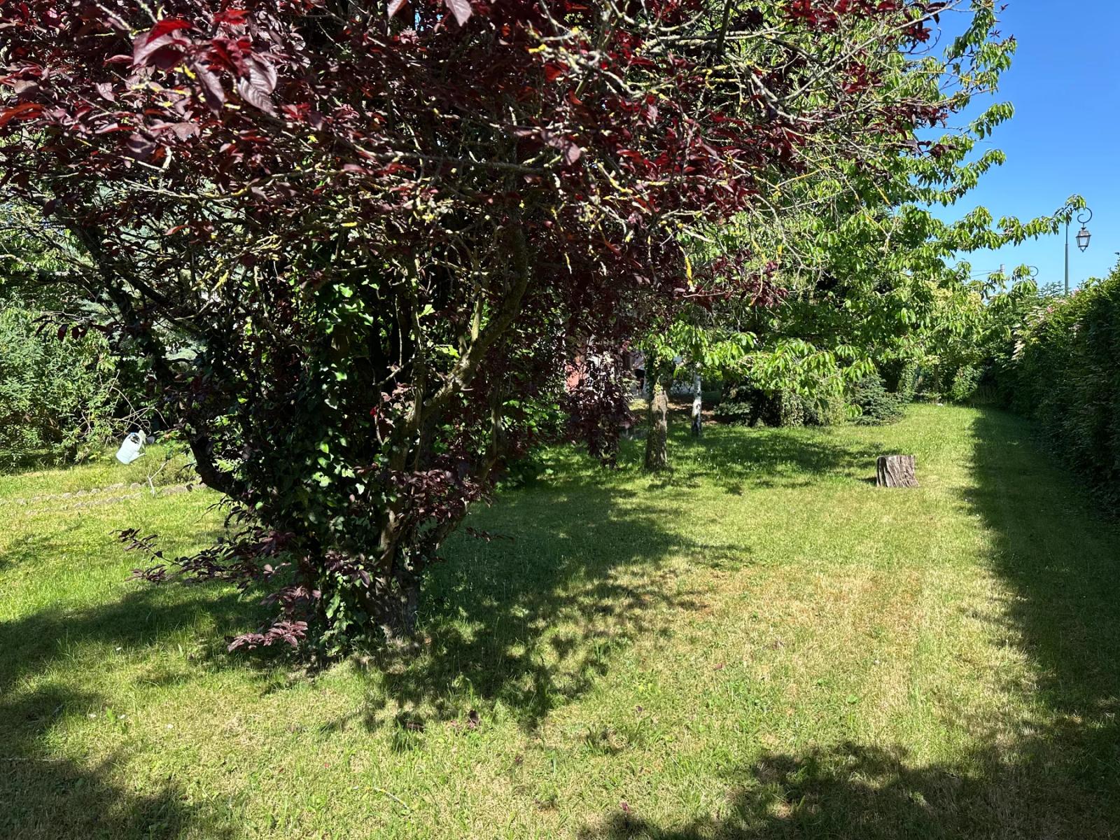 Allée engazonnée bordée d’arbres et d’arbustes — Les Clayes-sous-Bois.