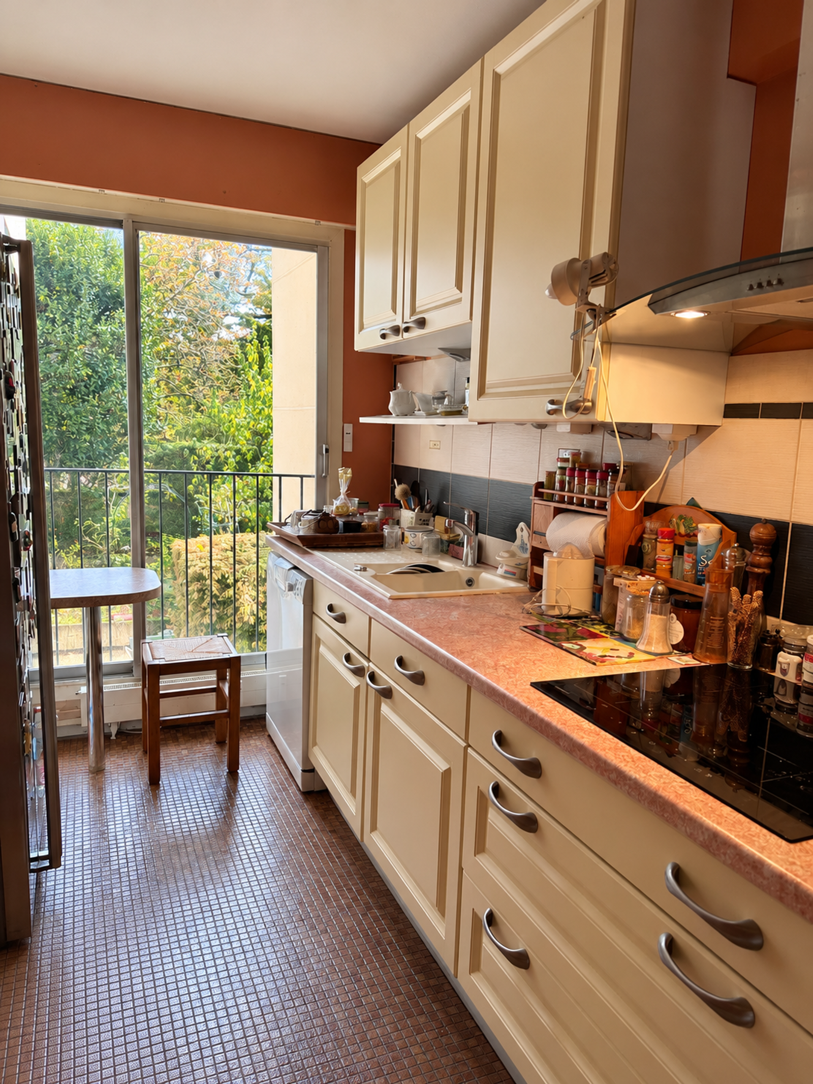 Cuisine appartement Viager occupé Versailles