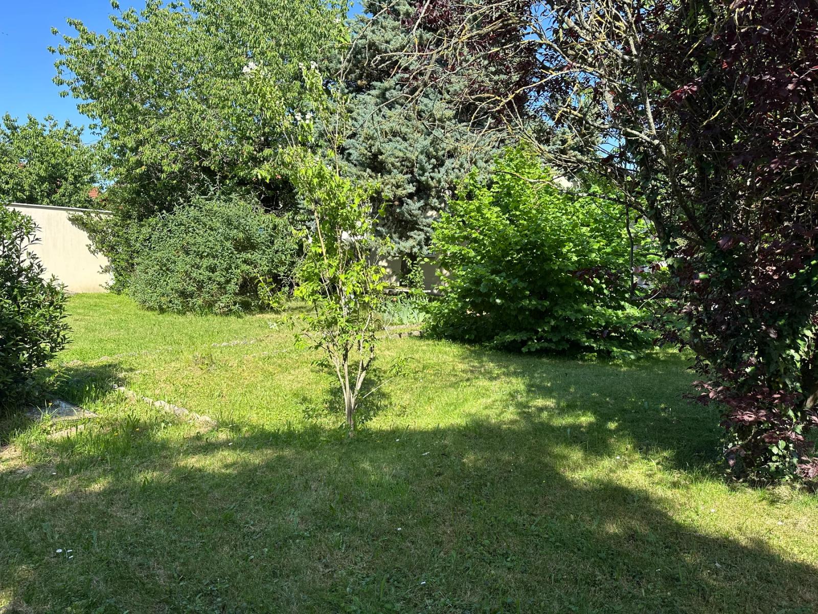 Pelouse et massifs arborés du jardin — Les Clayes-sous-Bois.