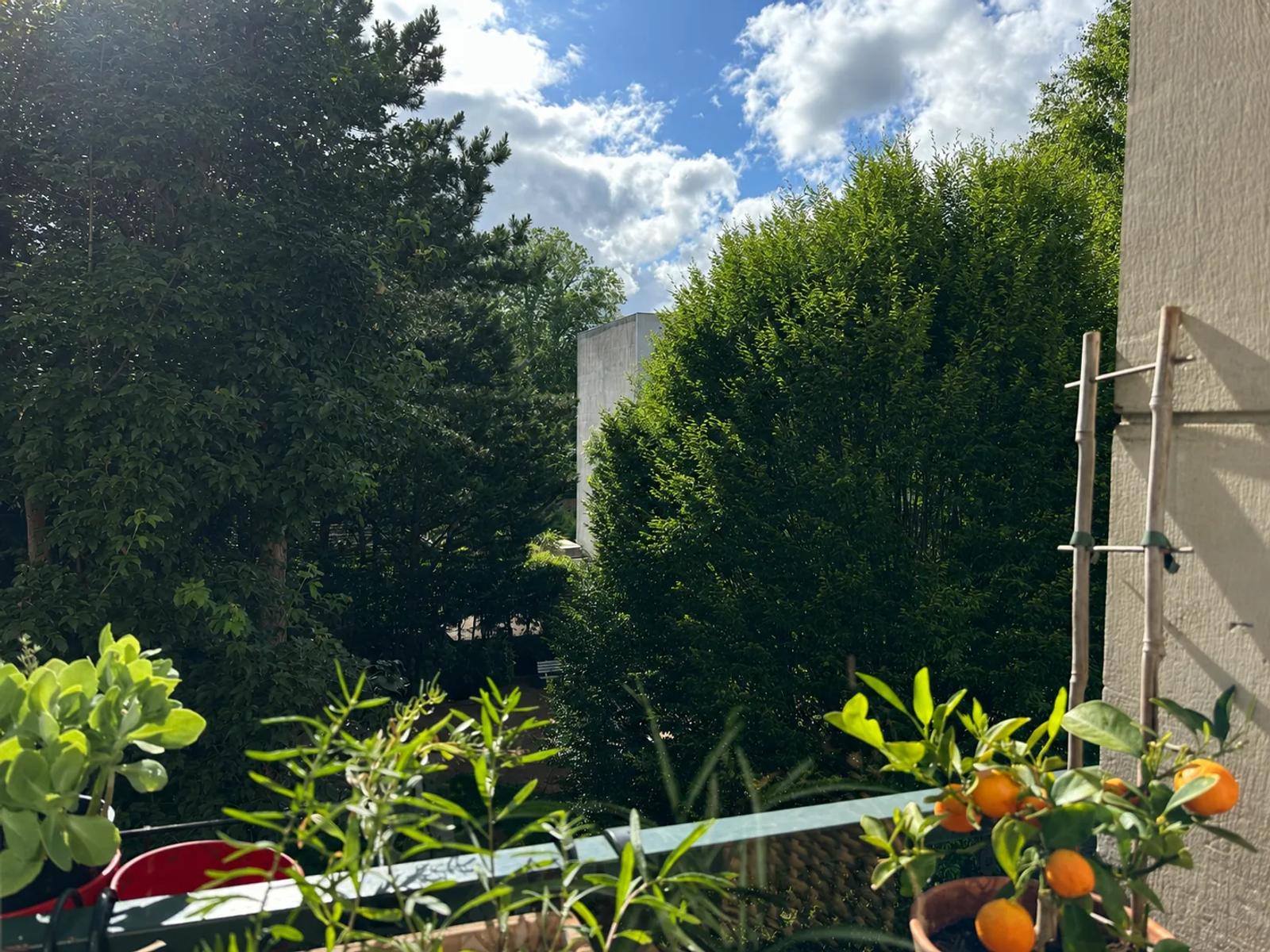 Balcon avec jardinières donnant sur les arbres de la résidence — Versailles.