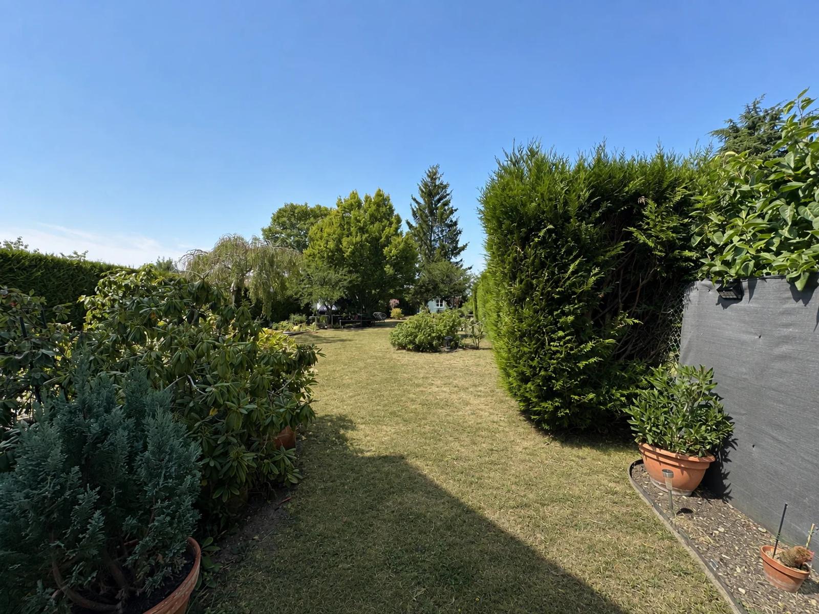 Passage engazonné entre les haies et les massifs du jardin — Maule.