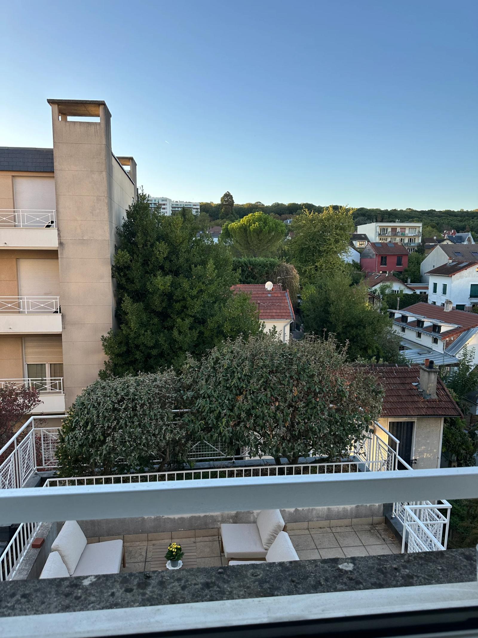 Vue depuis l’appartement sur les toits et les arbres du quartier — Chaville.
