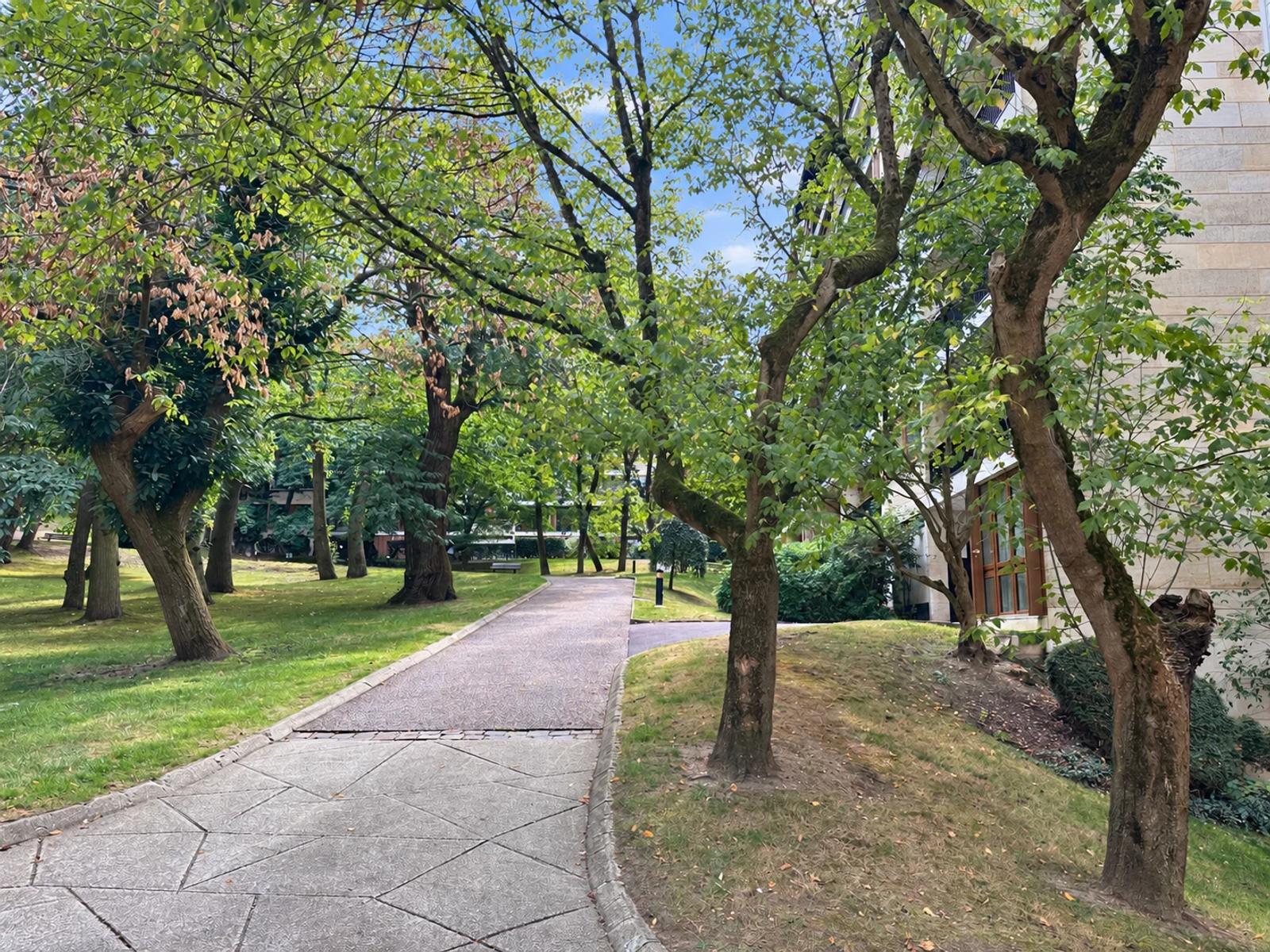 Allée piétonne dans le parc arboré de la résidence — La Celle-Saint-Cloud.