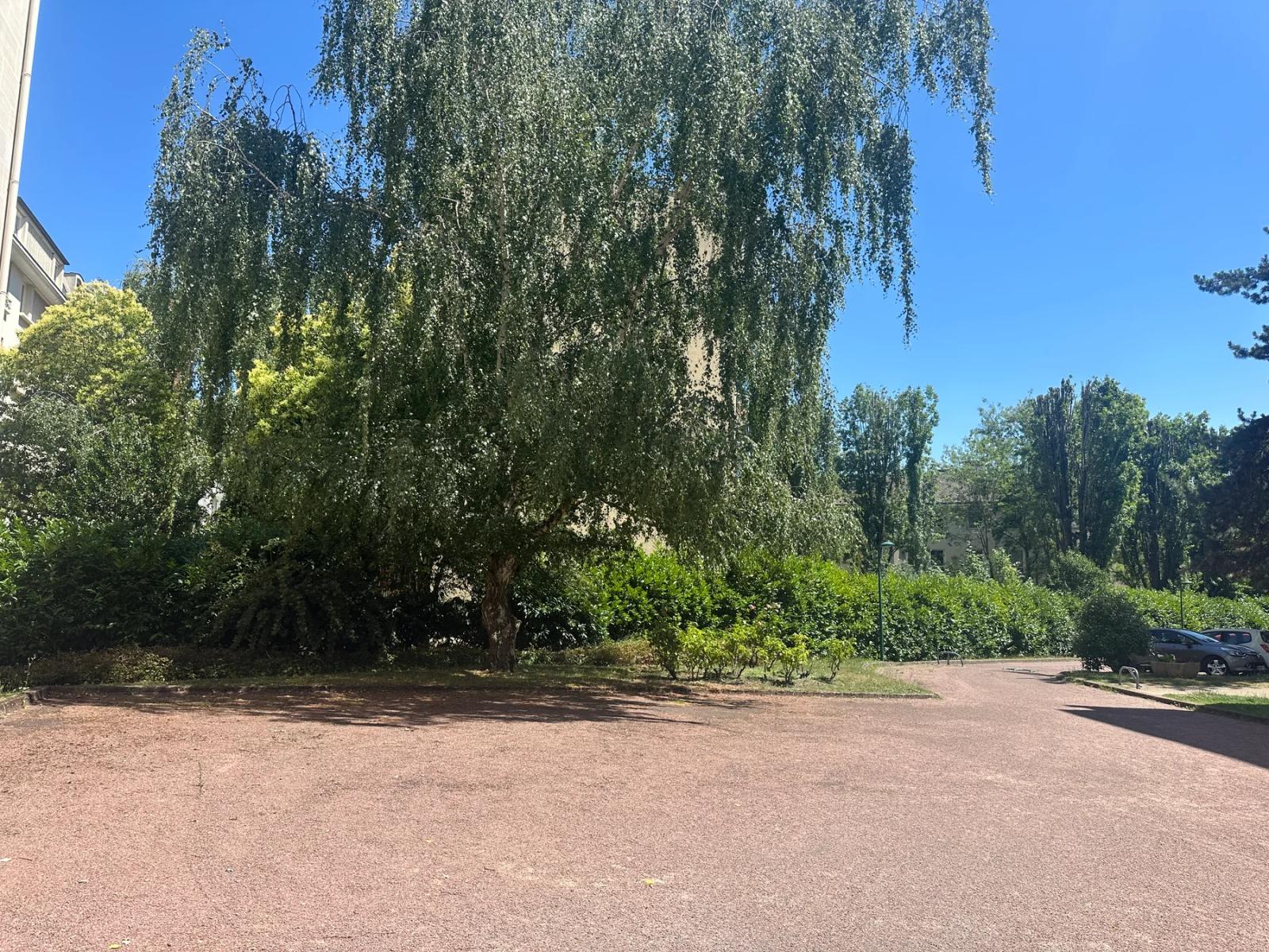 Allée et espace arboré au pied de la résidence — Versailles.