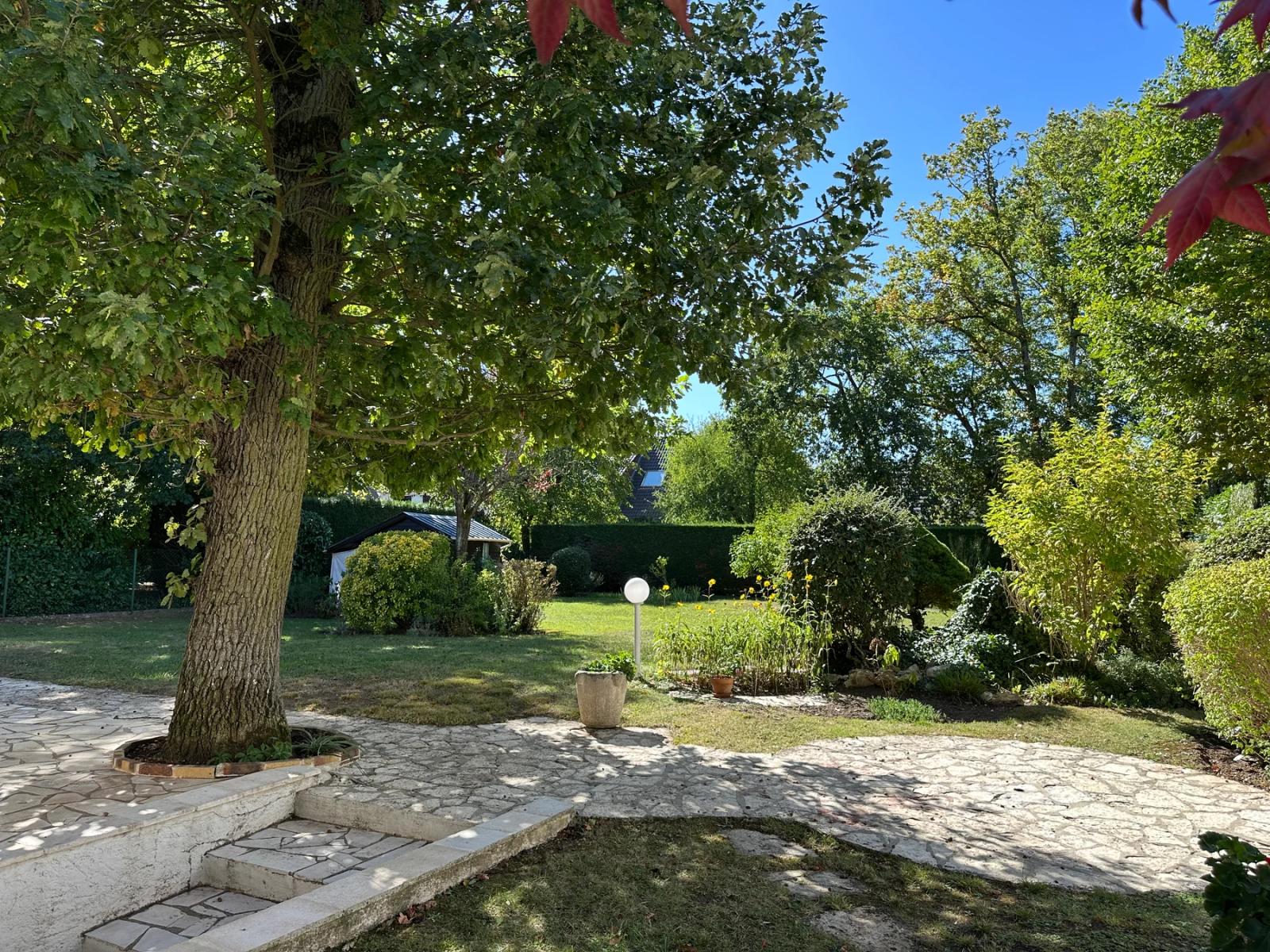 Terrasse en pierre avec arbre et massifs de jardin — Maule.