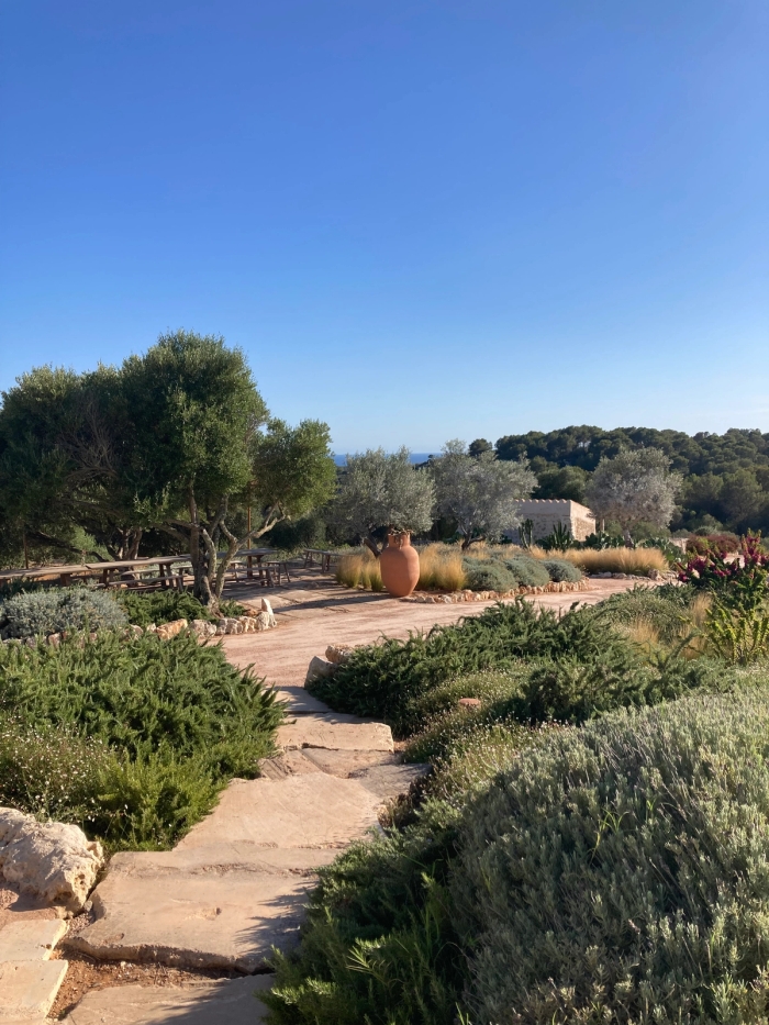 son blanc jorceramics