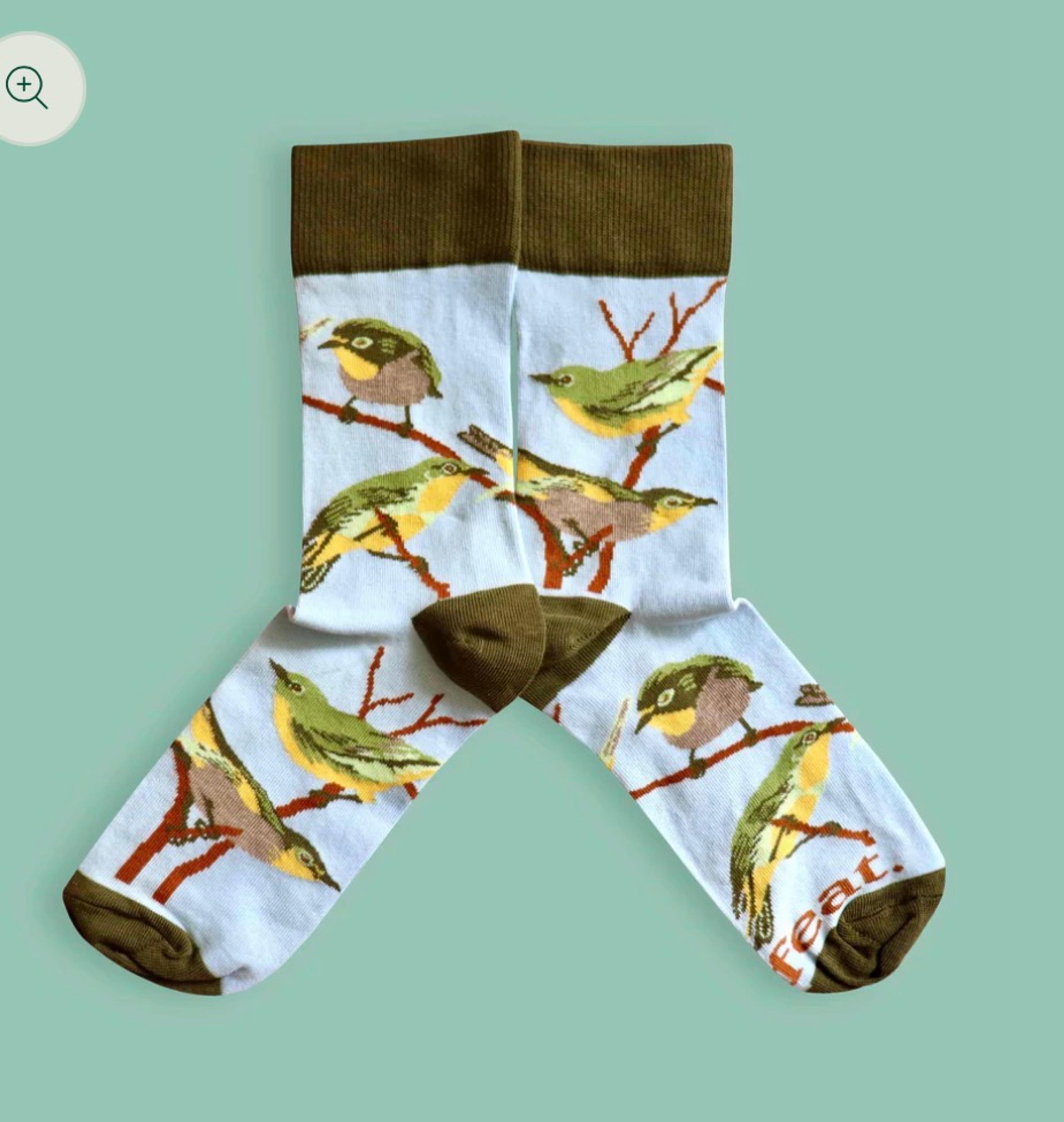 Feat Adult Sock — Cape White-Eye